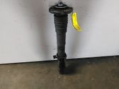 Front shock absorber with coil spring