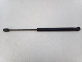 Front bonnet/hood damper/strut