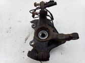 Front wheel hub spindle knuckle