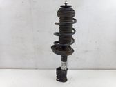 Front shock absorber with coil spring
