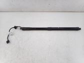 Tailgate/trunk strut/damper