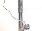 Stoßdämpfer hinten