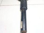Rear shock absorber/damper