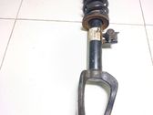 Front shock absorber with coil spring