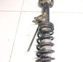 Front shock absorber with coil spring