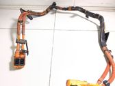 Other wiring loom