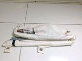 Roof airbag
