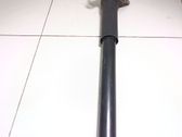 Stoßdämpfer hinten