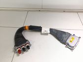Other wiring loom