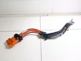 Other wiring loom