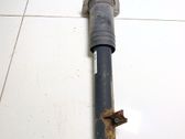 Stoßdämpfer hinten