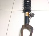 Front shock absorber with coil spring