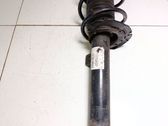 Front shock absorber with coil spring