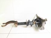 Front shock absorber with coil spring