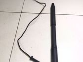 Tailgate/trunk strut/damper