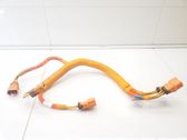 Other wiring loom