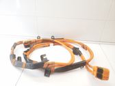 Other wiring loom