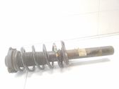 Front shock absorber/damper