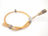 Other wiring loom