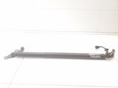 Tailgate/trunk strut/damper
