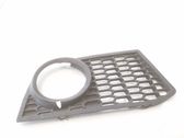 Front fog light trim/grill