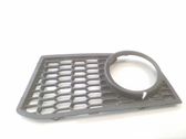 Front fog light trim/grill