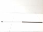 Front bonnet/hood damper/strut
