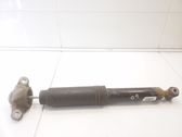 Stoßdämpfer hinten