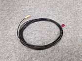 Radion antenni