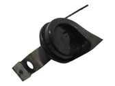 Horn signal