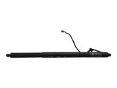 Tailgate strut