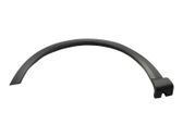 Fender trim (molding)