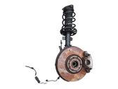 Front shock absorber with coil spring