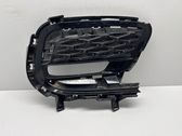 Front fog light trim/grill