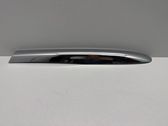 Roof trim bar molding cover