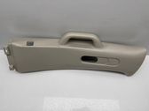 (B) pillar trim (top)