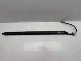 Tailgate/trunk/boot lift motor