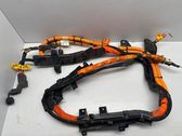 Other wiring loom
