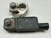 Negative earth cable (battery)