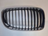 Front bumper upper radiator grill