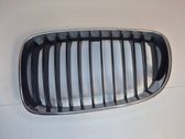 Front bumper upper radiator grill