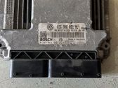 Engine control unit/module ECU