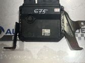Engine control unit/module ECU