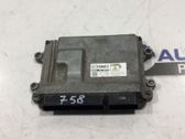Engine control unit/module ECU