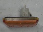 Front fender indicator light