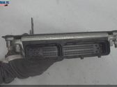 Injection control unit/module