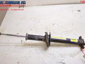 Front shock absorber with coil spring