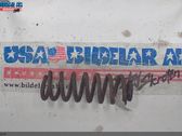 Front coil spring