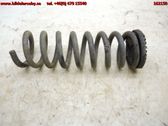 Rear coil spring