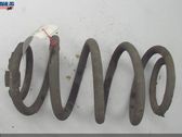 Rear coil spring